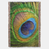 Couverture Plumes lumineuses (devant Vertical)