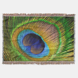 Couverture Plumes lumineuses