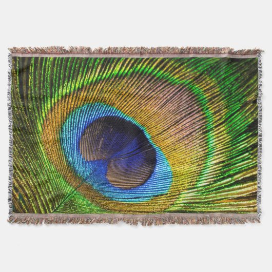 Couverture Plumes lumineuses (Devant)