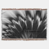 Couverture Plumes noires et blanches (Devant)