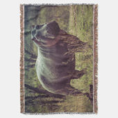 Couverture Poing hippo debout à la caméra en Afrique Foliage (devant Vertical)