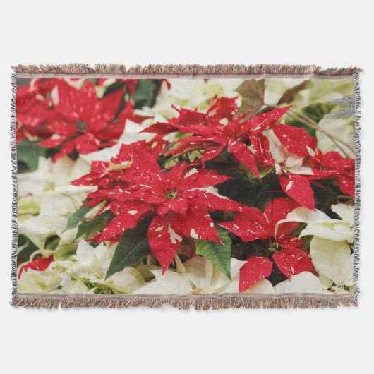Couverture Poinsettias Festive Rouge Blanc Floral (Devant)
