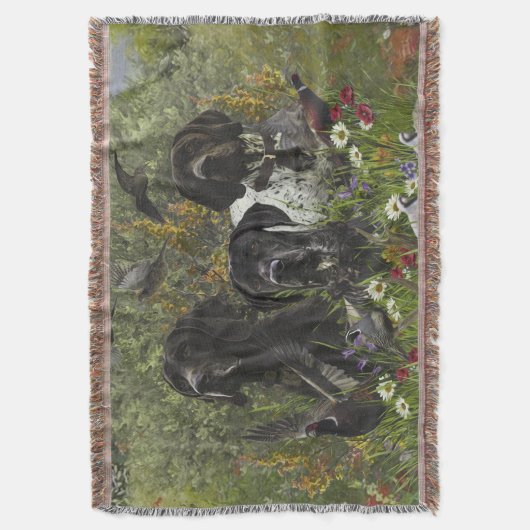 Couverture Pointeurs allemands à poils courts (devant Vertical)