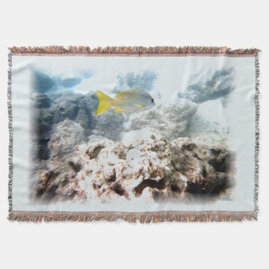 Couverture Poisson sous-marin (Devant)