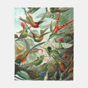 Couverture Polaire 12 oiseaux charmeurs américains peints