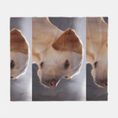 Couverture Polaire 3 Labrador_Retriever (Devant (Horizontal))