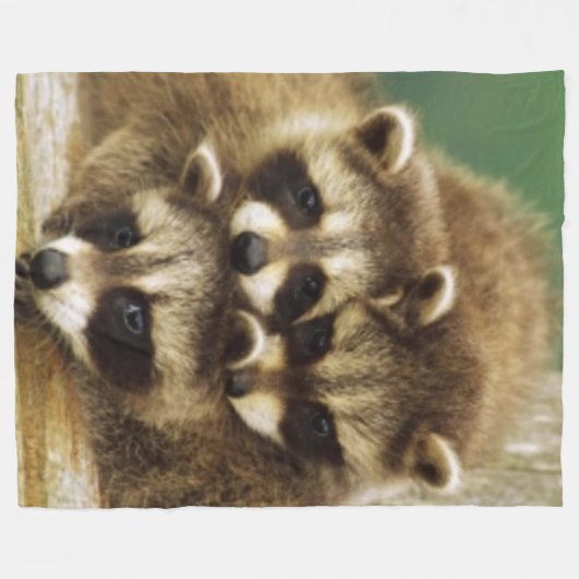 COUVERTURE POLAIRE 3 PETITS RATONS LAVEURS (Devant (Horizontal))