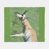 Couverture Polaire A11 Pronghorn Antelope Buck Grazing (Devant (Horizontal))