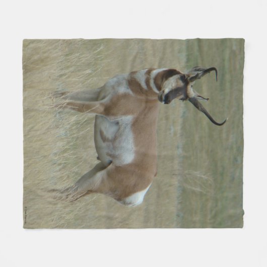 Couverture Polaire A37 Pronghorn Antelope Big Buck Crooked Horns (Devant (Horizontal))