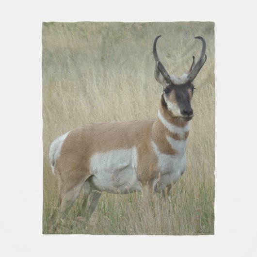 Couverture Polaire A9 Pronghorn Antelope Big Buck (Devant)