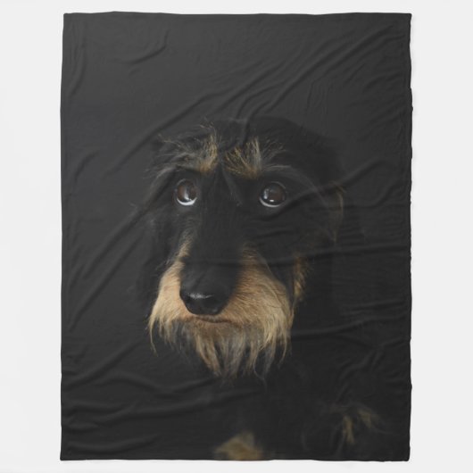 Couverture Polaire À poils durs Dachshund (Devant)