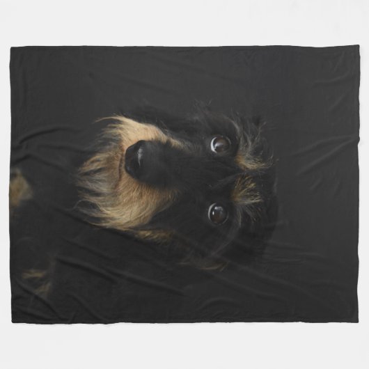 Couverture Polaire À poils durs Dachshund (Devant (Horizontal))