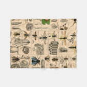 Couverture Polaire Abeille Insecte Bug Wasp Histoire naturelle abeill (Devant (Horizontal))