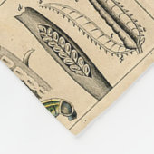 Couverture Polaire Abeille Insecte Bug Wasp Histoire naturelle abeill (Coin)