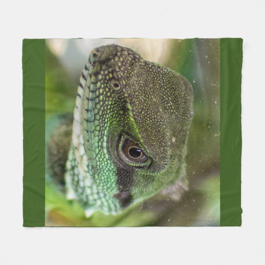 Couverture Polaire Agama, lézard (Devant (Horizontal))