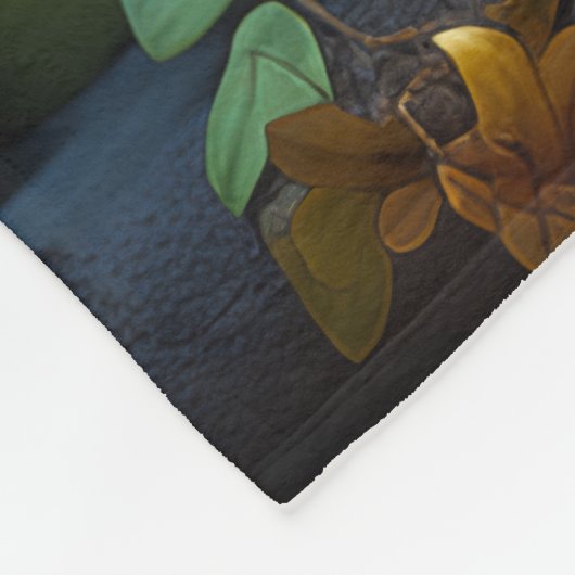 Couverture Polaire Aiden, un dragon lunaire (Coin)