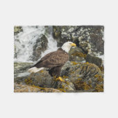 Couverture Polaire Aigle à tête blanche (Devant (Horizontal))