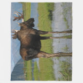 Couverture Polaire Alaska Bull Moose Antler Rack Scène extérieure pho (Devant)