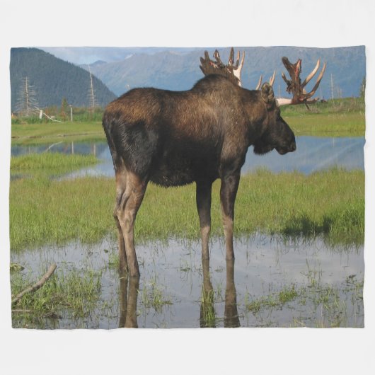 Couverture Polaire Alaska Bull Moose Antler Rack Scène extérieure pho (Devant (Horizontal))