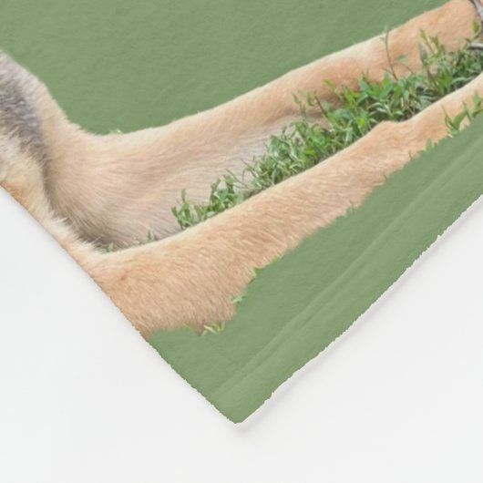 COUVERTURE POLAIRE ALLEMAND SHEPHERD JETTE (Coin)