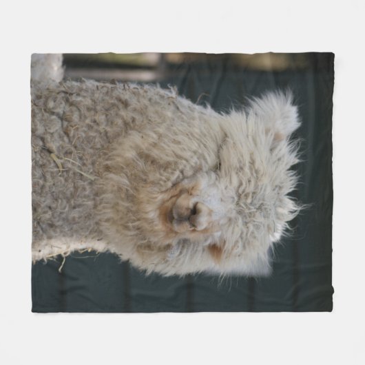 Couverture Polaire Alpaca (Devant (Horizontal))