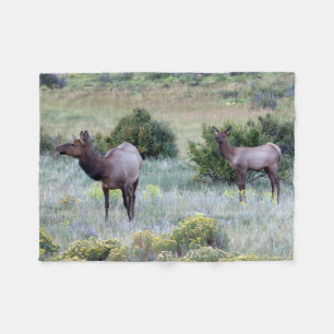 Couverture Polaire American Elk Colorado