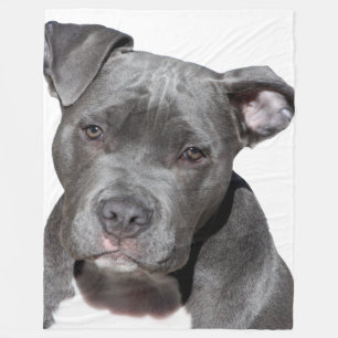 Couverture Polaire American Pit Bull Terrier