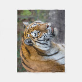 Couverture Polaire Amur tiger (Devant)