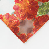 Couverture Polaire Anastaise (Coin)