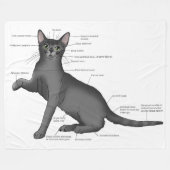 Couverture Polaire Anatomie d'un chat (Devant (Horizontal))