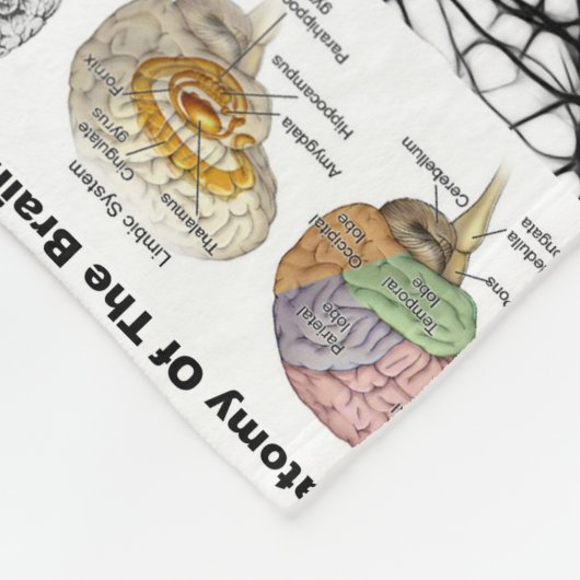 Couverture Polaire Anatomie d'un esprit humain populaire (Coin)