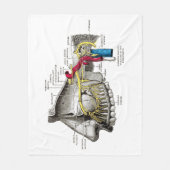 Couverture Polaire Anatomie maxillaire d'humain de nerfs (Devant)