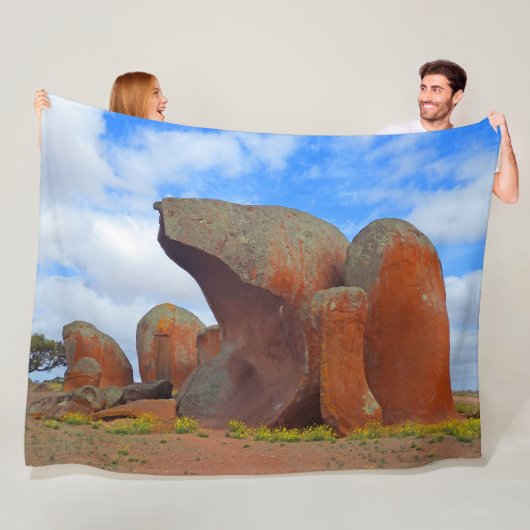 COUVERTURE POLAIRE ANCIEN QUARTZ (En situation)