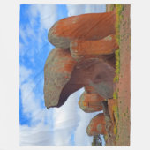 COUVERTURE POLAIRE ANCIEN QUARTZ (Devant)