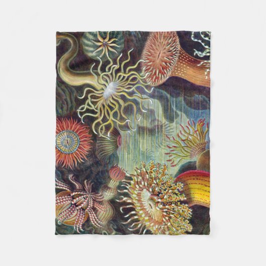 Couverture Polaire Anémone de mer Nature scientifique Océan (Devant)