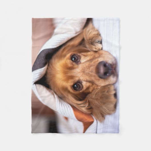 Couverture Polaire Anglais Cocker Spaniel Chien (Devant)