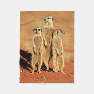 Couverture Polaire Animaux de bébés cutest 3 Meerkats