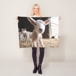 Couverture Polaire Animaux de bébés cutest Agneau mignon dans une f