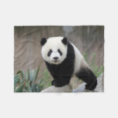 Couverture Polaire Animaux de bébés cutest | Baby Panda géant (Devant (Horizontal))