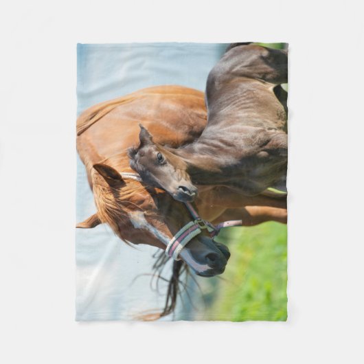 Couverture Polaire Animaux de bébés cutest | Black Foy avec maman (Devant)