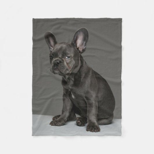 Couverture Polaire Animaux de bébés cutest | Blue French Bulldog Pupp (Devant)