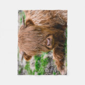 Couverture Polaire Animaux de bébés cutest | Calf de vache des Highla (Devant)