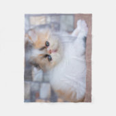 Couverture Polaire Animaux de bébés cutest | Calico Persian Kitten (Devant)