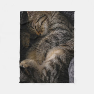 Couverture Polaire Animaux de bébés cutest   Chat Tabby Dormant