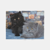 Couverture Polaire Animaux de bébés cutest | Chatons persans sur couv (Devant (Horizontal))