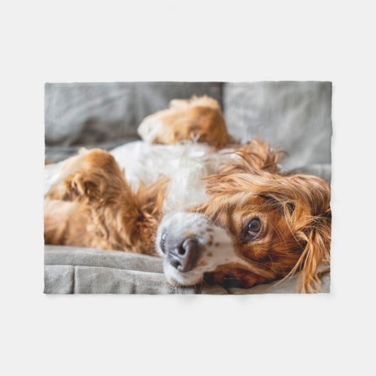 Couverture Polaire Animaux de bébés cutest | Cocker Spaniel (Devant (Horizontal))