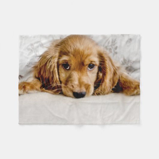 Couverture Polaire Animaux de bébés cutest | Cocker Spaniel (Devant (Horizontal))