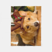 Couverture Polaire Animaux de bébés cutest | Corgi Christmas Reindeer (Devant)