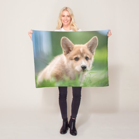 Couverture Polaire Animaux de bébés cutest | Corgi Puppy dans le tria (En situation)