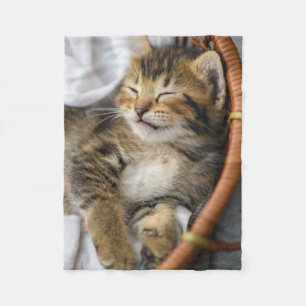 Couverture Polaire Animaux de bébés cutest   Cute Tabby Chat Dormir